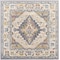 Livabliss Ankara AKR-2300 Machine Crafted Area Rug AKR2300-67SQ - alternate 1